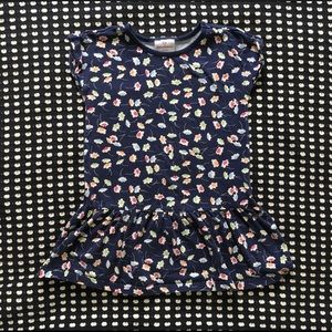 Hanna Andersson dress blue floral dress